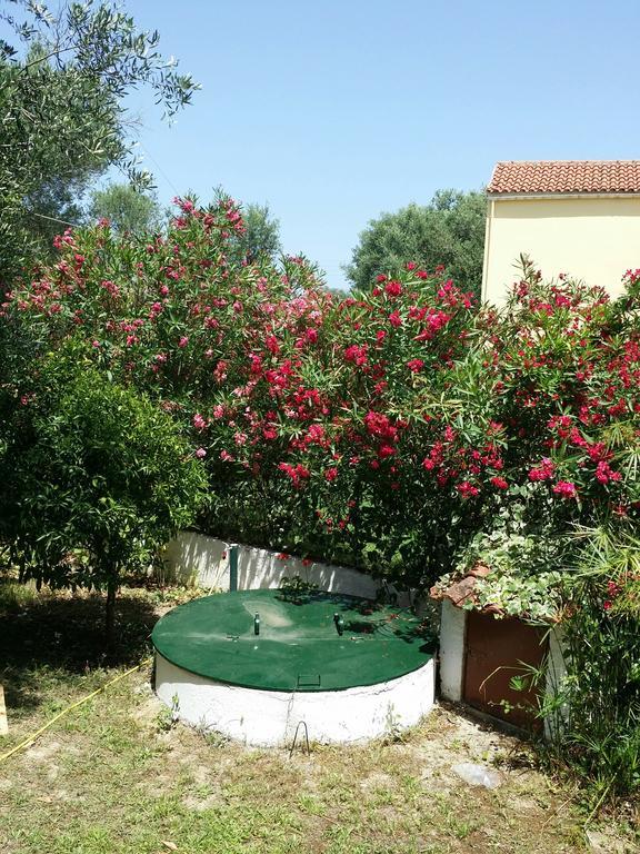 Villa Helena Kávos المظهر الخارجي الصورة